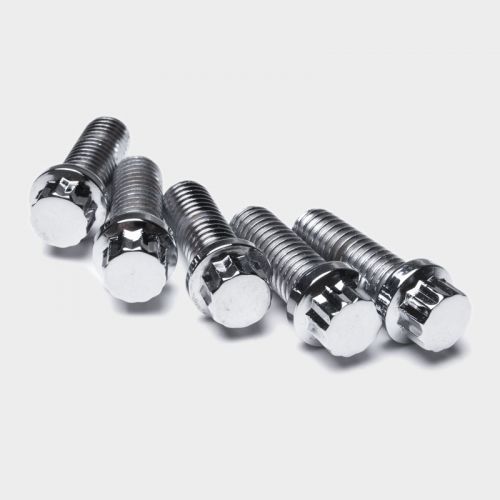 Sprocket Brake Screws